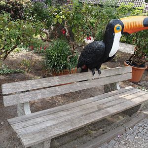 Bench with Toco toucan statue, 2024-05-21