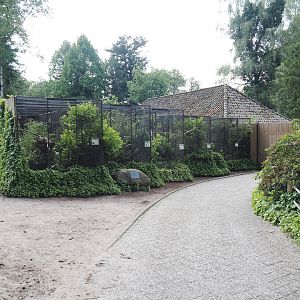 Birds-of-paradise aviary block, 2024-05-21