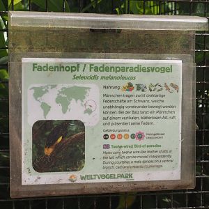 Example of signage - Twelve-wired bird-of-paradise sign, 2024-05-21