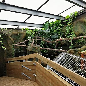 Exhibit for Yellow-spotted Amazon river turtles (Podocnemis unifilis) - Masaguaral hall