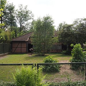 Ostrich and Abyssinian ground hornbill paddock, 2024-05-21