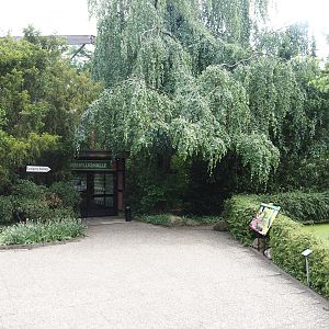 Freiflughalle - First section, South American wetland walk-through, 2024-05-21