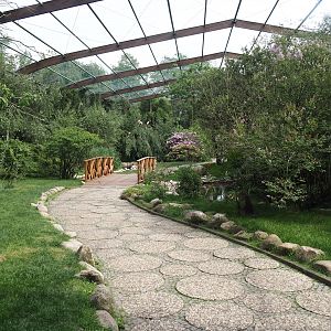 Freiflughalle - First section, South American wetland walk-through, 2024-05-21