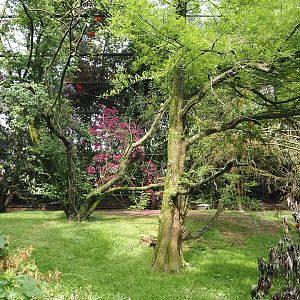 Freiflughalle - First section, South American wetland walk-through, 2024-05-21