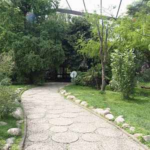 Freiflughalle - First section, South American wetland walk-through, 2024-05-21