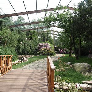 Freiflughalle - First section, South American wetland walk-through, 2024-05-21