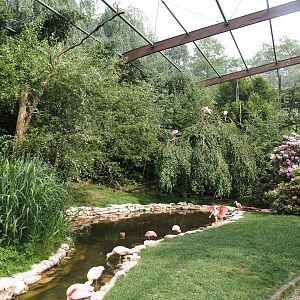 Freiflughalle - First section, South American wetland walk-through, 2024-05-21