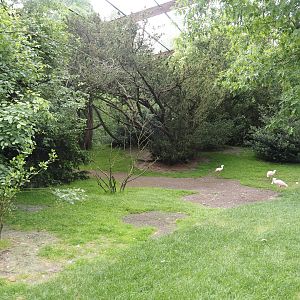 Freiflughalle - First section, South American wetland walk-through, 2024-05-21