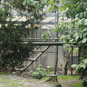 Freiflughalle - Off-show aviary and bird holding greenhouse, 2024-05-21