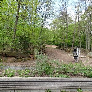 Indian rhino enclosure #2