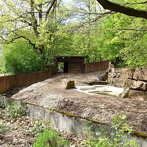 Indian rhino enclosure #2