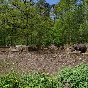 Indian rhino enclosure #2