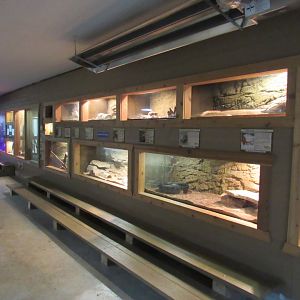 Tropical Building Reptile Exhibits