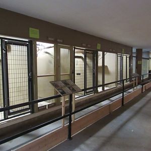 Tropical Building Mammal Exhibits