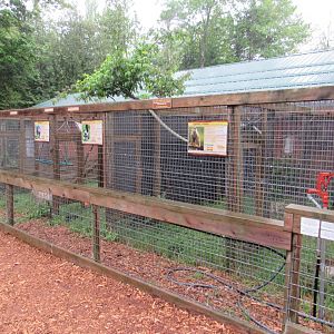 Outdoor Tropical Mammal Exhibits