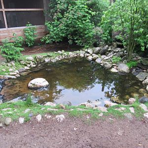 Turtle Pond
