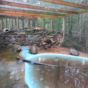 North American River Otter Exhibit