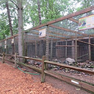 Pheasant Exhibits