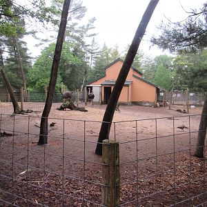 Ostrich Exhibit