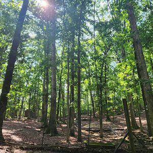 Yellow River Wildlife Sanctuary - Deer enclosure