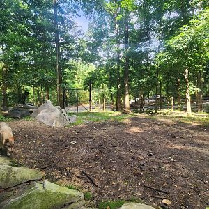 Yellow River Wildlife Sanctuary - Wolf exhibit