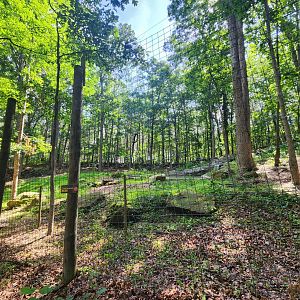 Yellow River Wildlife Sanctuary - American Black Bear enclosure