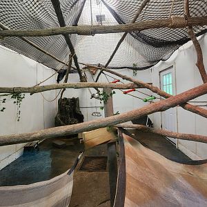 Yellow River Wildlife Sanctuary - Sloth exhibit