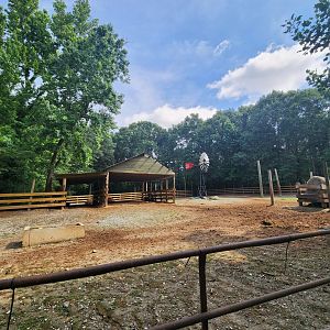 Yellow River Wildlife Sanctuary - Bison yard