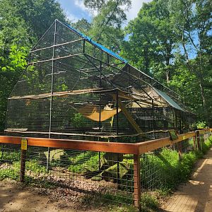 Yellow River Wildlife Sanctuary - Cat exhibits