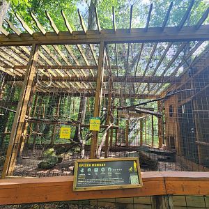 Yellow River Wildlife Sanctuary - Spider monkey exhibit