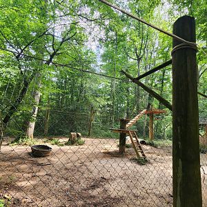 Yellow River Wildlife Sanctuary - Coyote enclosure
