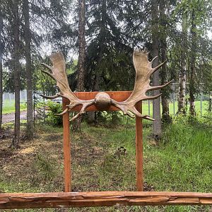 Photo Op if you stand with the antlers on either side of your head.