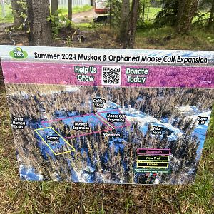 Photo depicting the expansion of the Muskox habitat