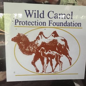 Info marker on kiosk