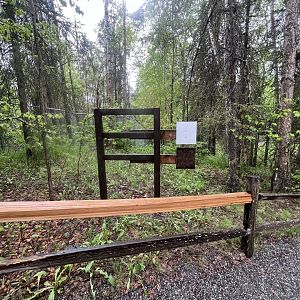 Former Amur Tiger Info Sign