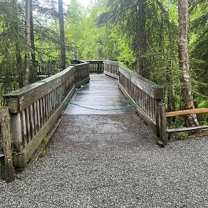 Blocked path to Amur Tiger Overlook