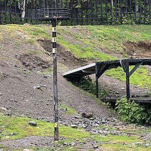Brown Bear Enrichment Post