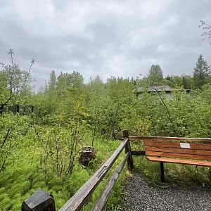 Former Elephant Yard