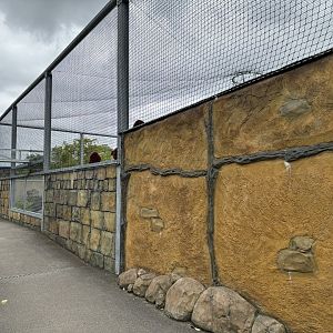 Lemur Walkthrough Exterior at Woodside Wildlife Park (May 2024)