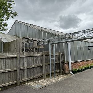 Tropical House Exterior at Woodside Wildlife Park (May 2024)