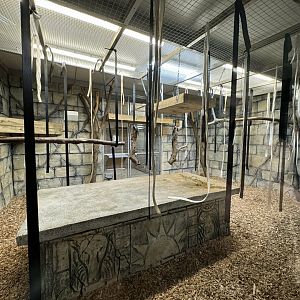 Columbian Black Spider Monkey Indoor Enclosure at Woodside Wildlife Park (May 2024)