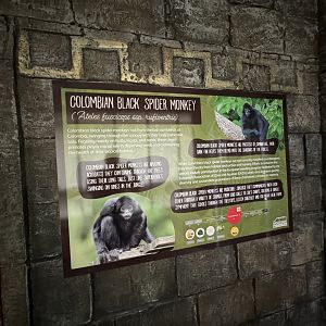 Colombian Black Spider Monkey Sign at Woodside Wildlife Park (May 2024)