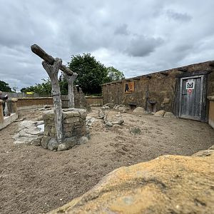 Meerkat Enclosure at Woodside Wildlife Park (May 2024)
