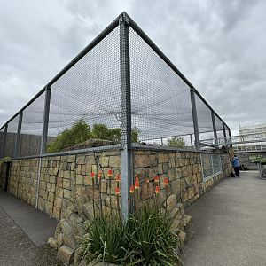 Lemur Walkthrough Exterior at Woodside Wildlife Park (May 2024)