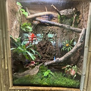 June 2024 - The Learning Center, Poison Dart Frog Exhibit