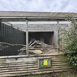 Geoffroy's Cat Enclosure at Woodside Wildlife Park (May 2024)