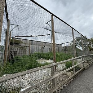 Steller's Sea Eagle Enclosure at Woodside Wildlife Park (May 2024)