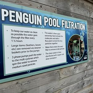 Penguin Filtration Sign at Woodside Wildlife Park (May 2024)