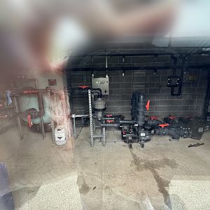 Penguin Filtration at Woodside Wildlife Park (May 2024)