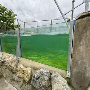 Penguin Underwater Viewing Area at Woodside Wildlife Park (May 2024)